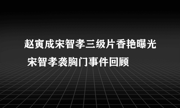 赵寅成宋智孝三级片香艳曝光 宋智孝袭胸门事件回顾