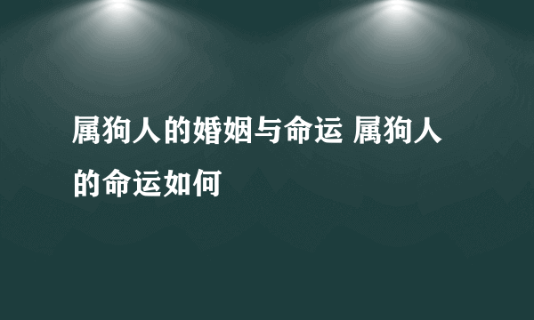 属狗人的婚姻与命运 属狗人的命运如何