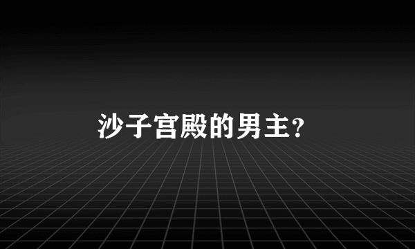 沙子宫殿的男主？