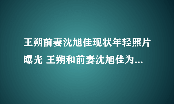 王朔前妻沈旭佳现状年轻照片曝光 王朔和前妻沈旭佳为什么离婚