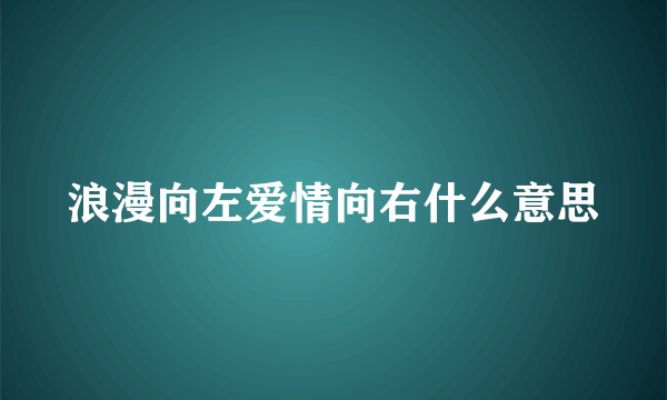 浪漫向左爱情向右什么意思