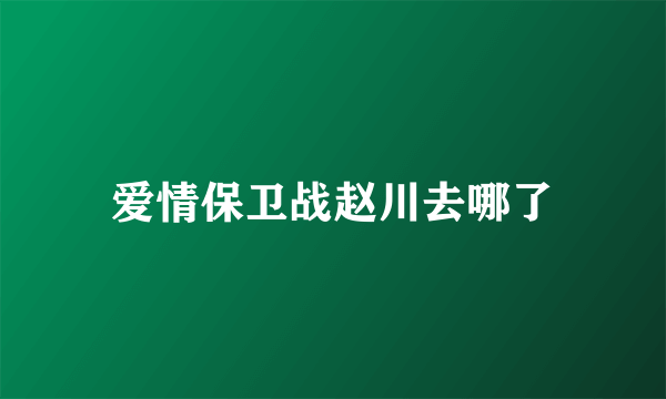 爱情保卫战赵川去哪了