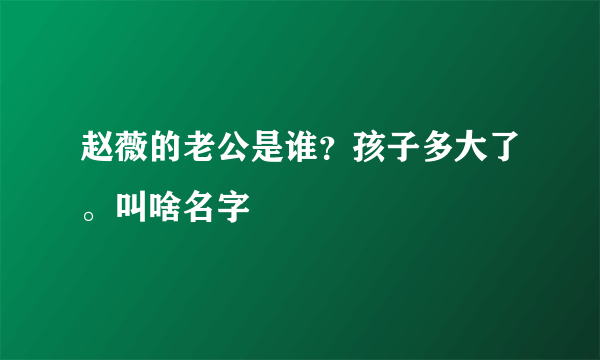 赵薇的老公是谁？孩子多大了。叫啥名字