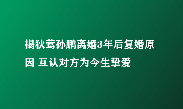 揭狄莺孙鹏离婚3年后复婚原因 互认对方为今生挚爱