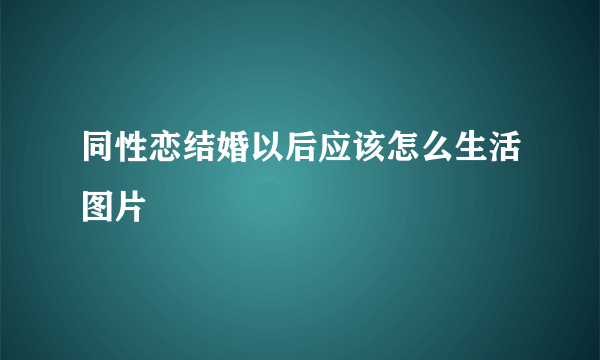 同性恋结婚以后应该怎么生活图片