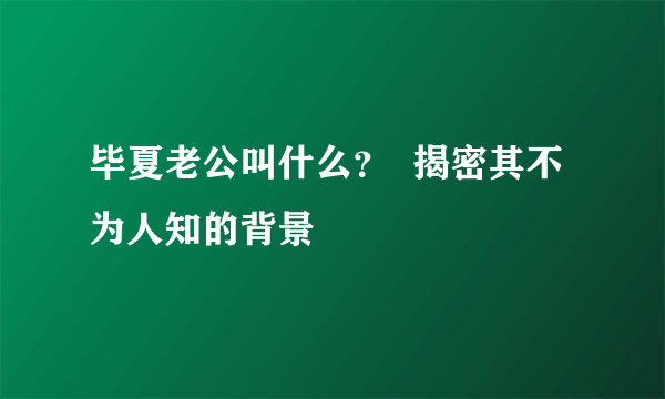 毕夏老公叫什么？  揭密其不为人知的背景