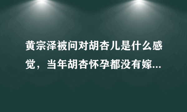 黄宗泽被问对胡杏儿是什么感觉，当年胡杏怀孕都没有嫁给他，这是真的吗？