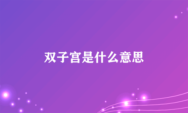 双子宫是什么意思