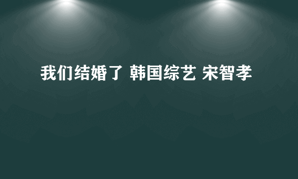 我们结婚了 韩国综艺 宋智孝