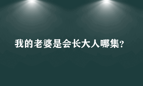 我的老婆是会长大人哪集？