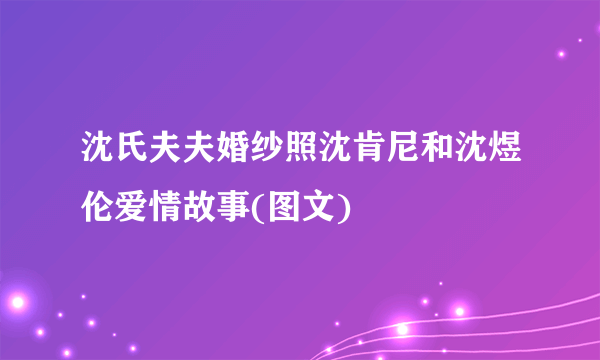 沈氏夫夫婚纱照沈肯尼和沈煜伦爱情故事(图文)