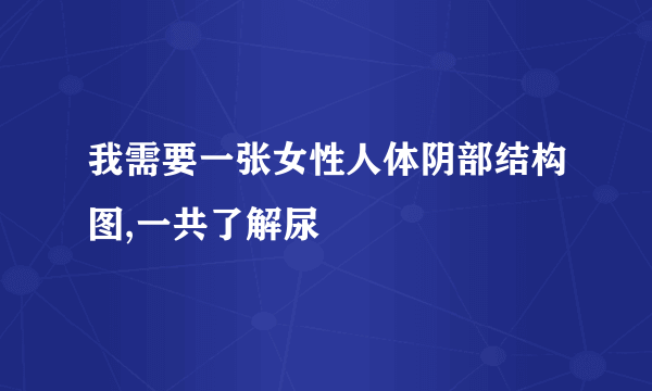 我需要一张女性人体阴部结构图,一共了解尿