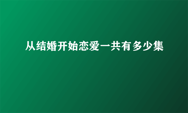 从结婚开始恋爱一共有多少集