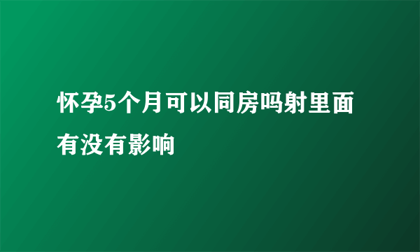 怀孕5个月可以同房吗射里面有没有影响