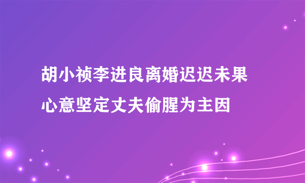 胡小祯李进良离婚迟迟未果 心意坚定丈夫偷腥为主因