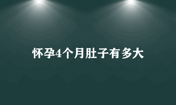 怀孕4个月肚子有多大