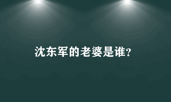 沈东军的老婆是谁？