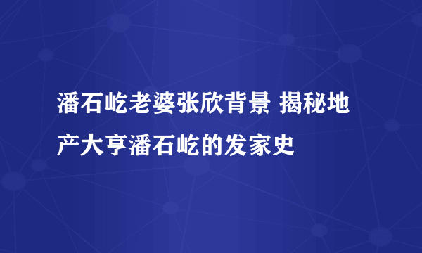 潘石屹老婆张欣背景 揭秘地产大亨潘石屹的发家史