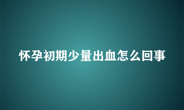 怀孕初期少量出血怎么回事