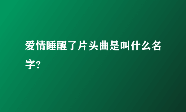 爱情睡醒了片头曲是叫什么名字？