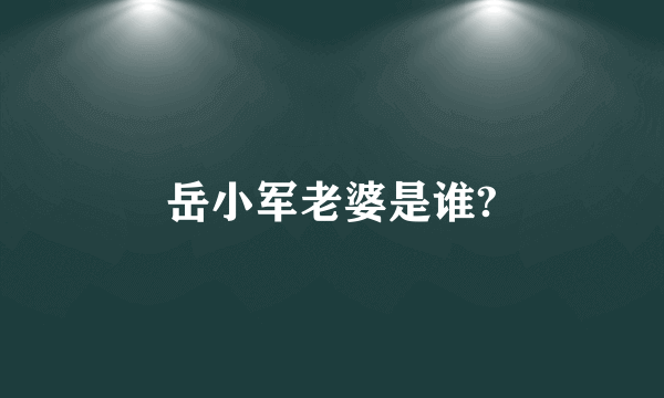 岳小军老婆是谁?