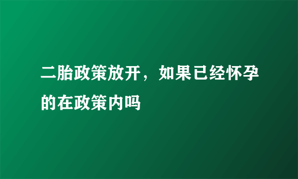 二胎政策放开，如果已经怀孕的在政策内吗