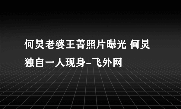 何炅老婆王菁照片曝光 何炅独自一人现身-飞外网