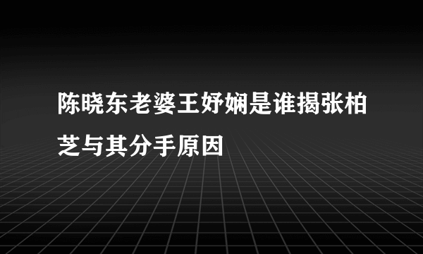 陈晓东老婆王妤娴是谁揭张柏芝与其分手原因