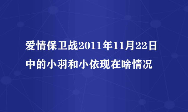 爱情保卫战2011年11月22日中的小羽和小依现在啥情况