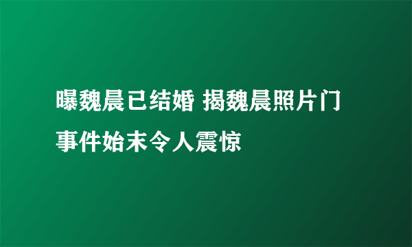 曝魏晨已结婚 揭魏晨照片门事件始末令人震惊