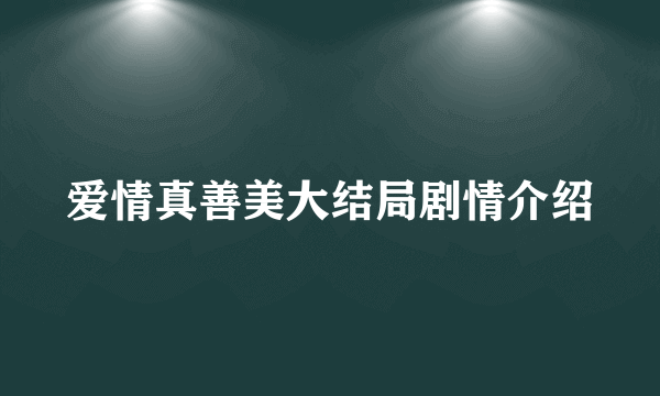 爱情真善美大结局剧情介绍