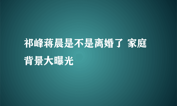 祁峰蒋晨是不是离婚了 家庭背景大曝光