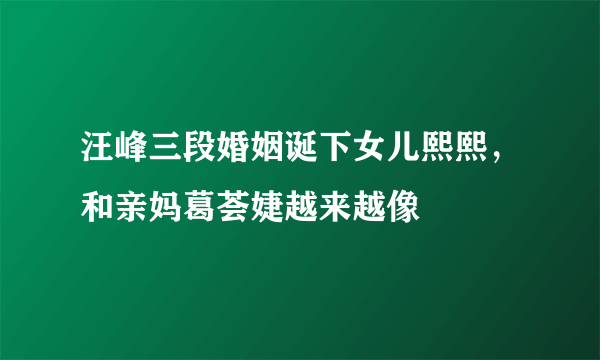 汪峰三段婚姻诞下女儿熙熙，和亲妈葛荟婕越来越像