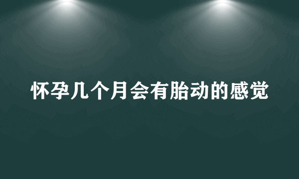 怀孕几个月会有胎动的感觉