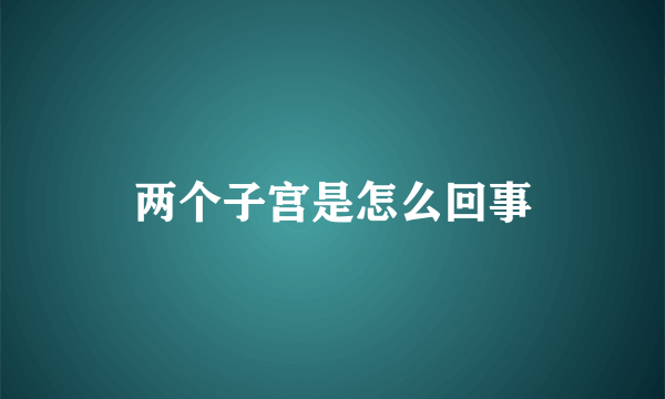 两个子宫是怎么回事