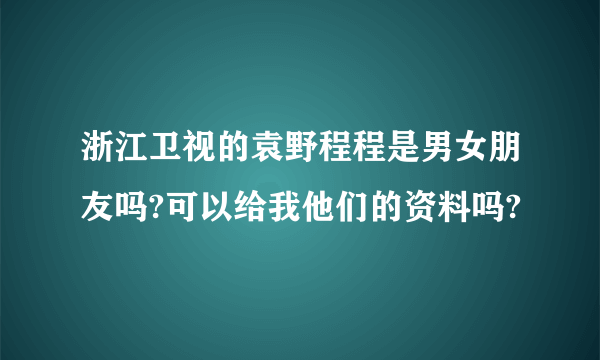 浙江卫视的袁野程程是男女朋友吗?可以给我他们的资料吗?