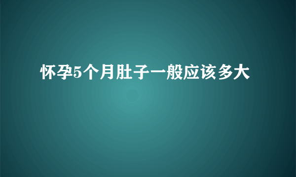 怀孕5个月肚子一般应该多大