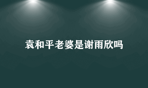 袁和平老婆是谢雨欣吗