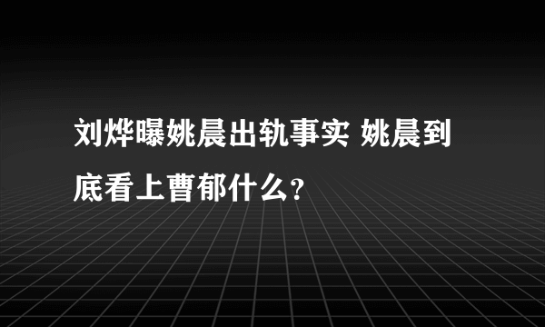 刘烨曝姚晨出轨事实 姚晨到底看上曹郁什么？