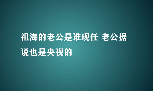 祖海的老公是谁现任 老公据说也是央视的