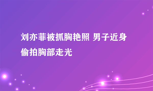 刘亦菲被抓胸艳照 男子近身偷拍胸部走光