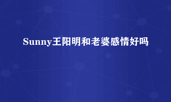 Sunny王阳明和老婆感情好吗