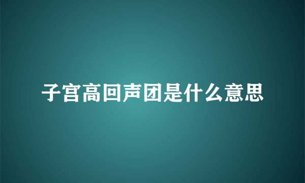 子宫高回声团是什么意思