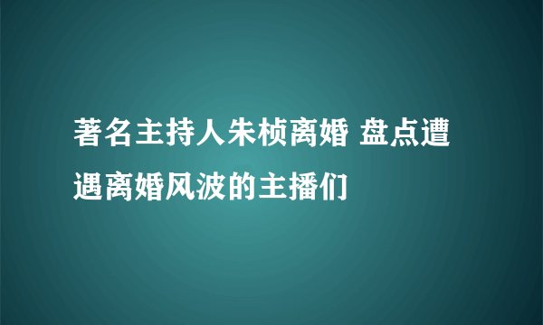 著名主持人朱桢离婚 盘点遭遇离婚风波的主播们