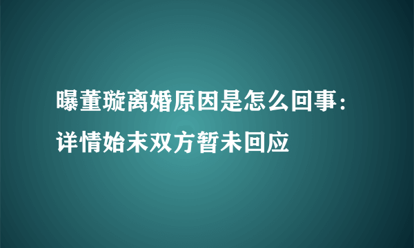 曝董璇离婚原因是怎么回事：详情始末双方暂未回应