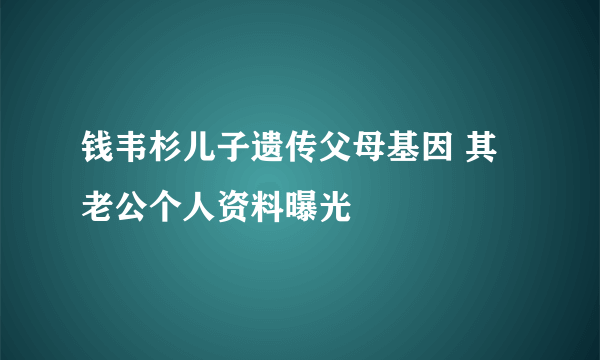 钱韦杉儿子遗传父母基因 其老公个人资料曝光