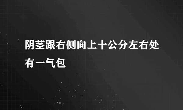 阴茎跟右侧向上十公分左右处有一气包