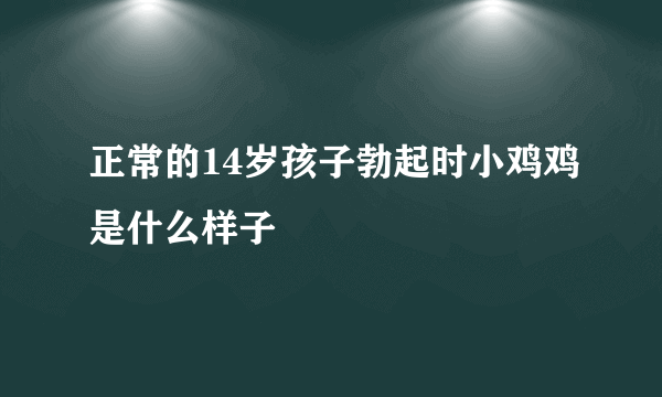 正常的14岁孩子勃起时小鸡鸡是什么样子