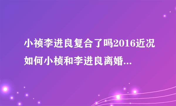 小祯李进良复合了吗2016近况如何小桢和李进良离婚了吗_飞外网