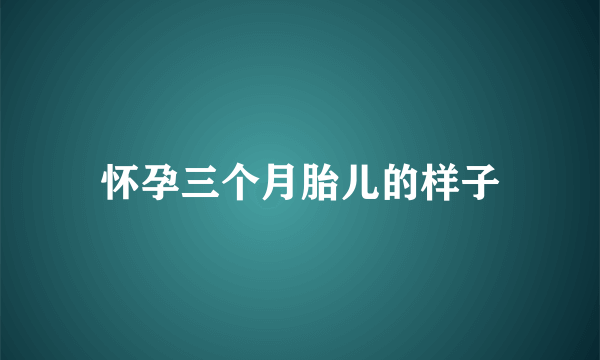 怀孕三个月胎儿的样子